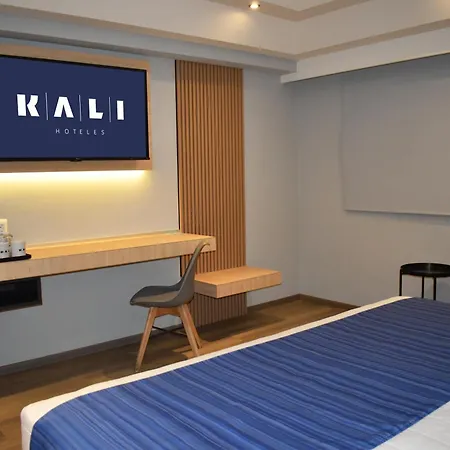 Kali Vallejo Mexico City