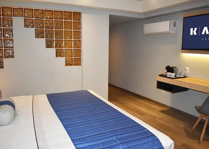 Kali Vallejo Hotel Mexico City