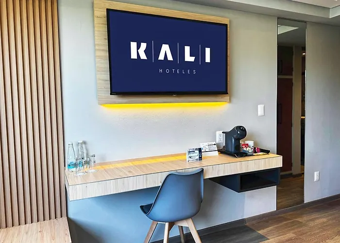 Kali Vallejo 3* Mexico City